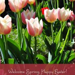 Lehigh Happening Easter Event Guide