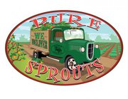Pure Sprouts is the Lehigh Valley's answer to buying organic and local produce and grocery items and delivering them right to your door.