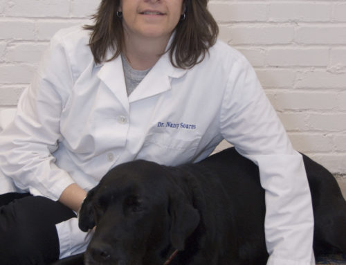 International Veterinary Organization Names Nancy Soares, VMD New President