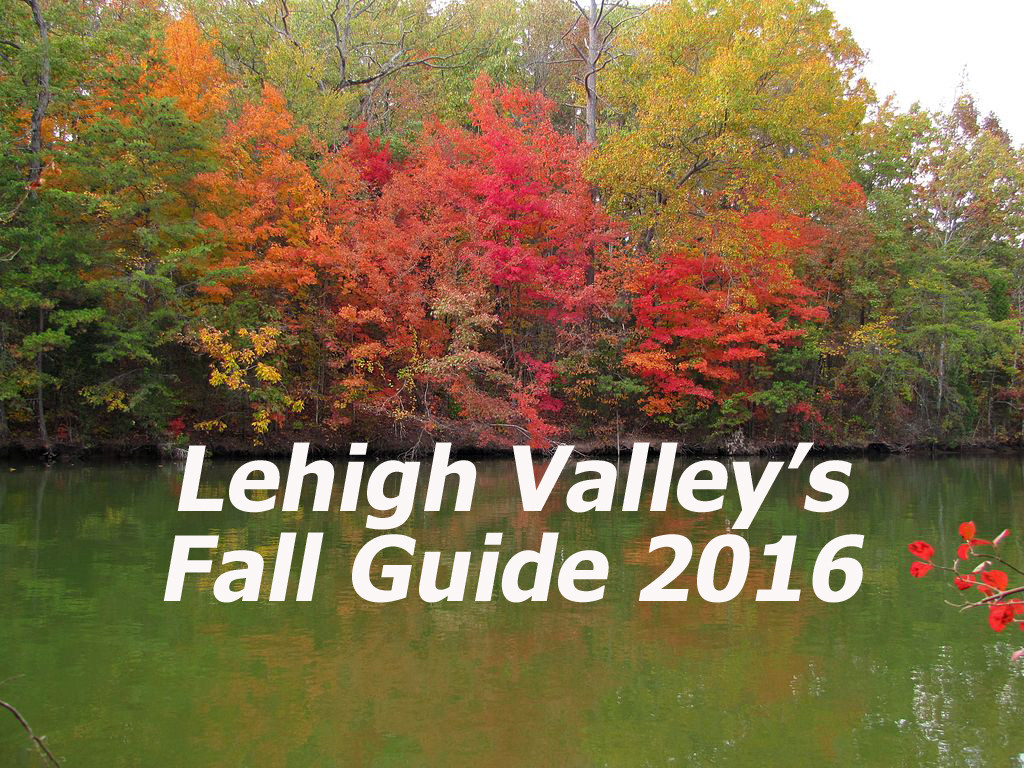 fall-guide-heading-2016