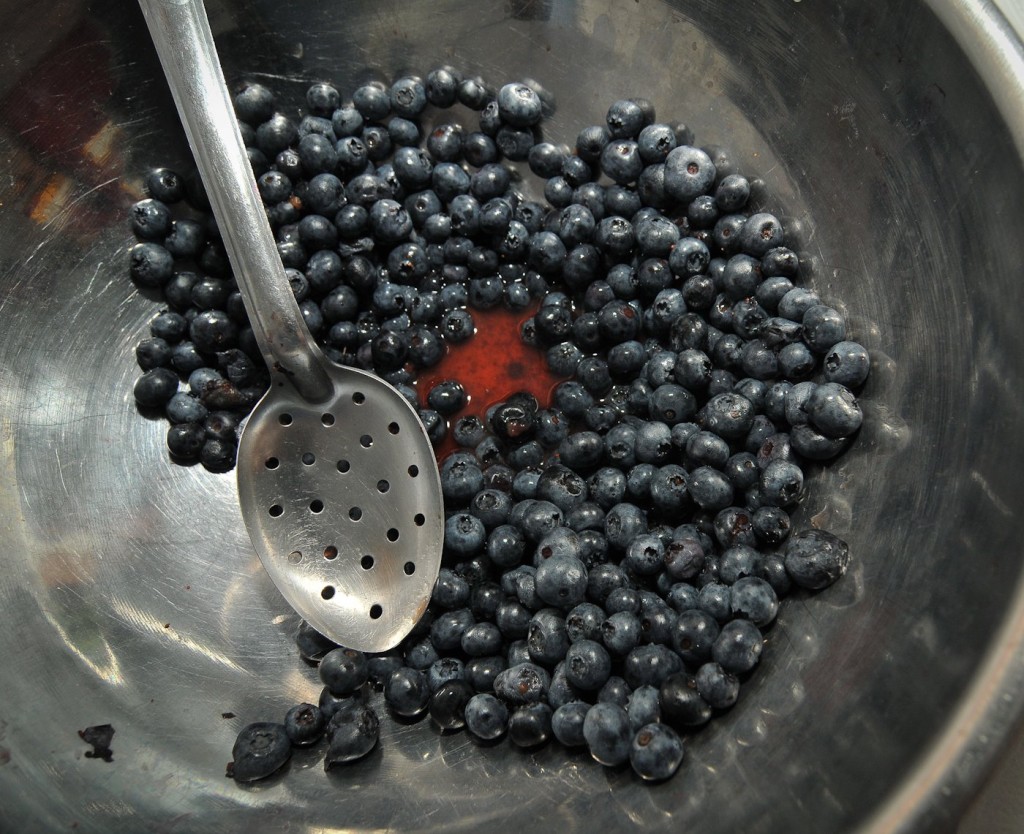 Blueberry Festival - Upton - 003