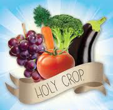 VF-logo-Holy Crop.jpg