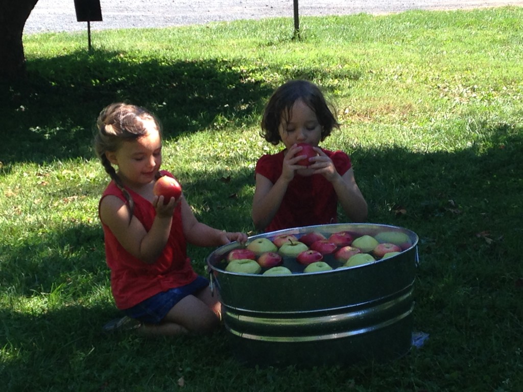 Kids eating apples